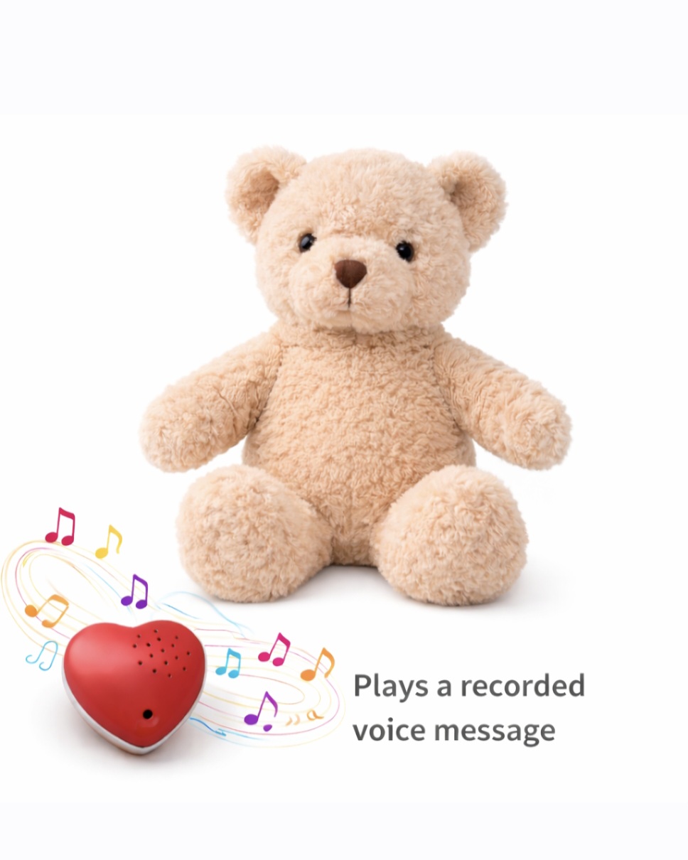 MemoirX Talking Bear